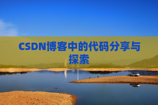 CSDN博客中的代码分享与探索